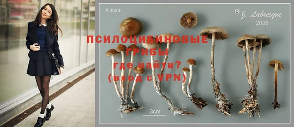 кокс Аркадак