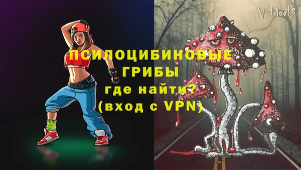 кокс Аркадак