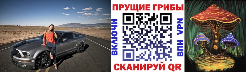 Галлюциногенные грибы мицелий  как найти закладки  даркнет как зайти  Родники 